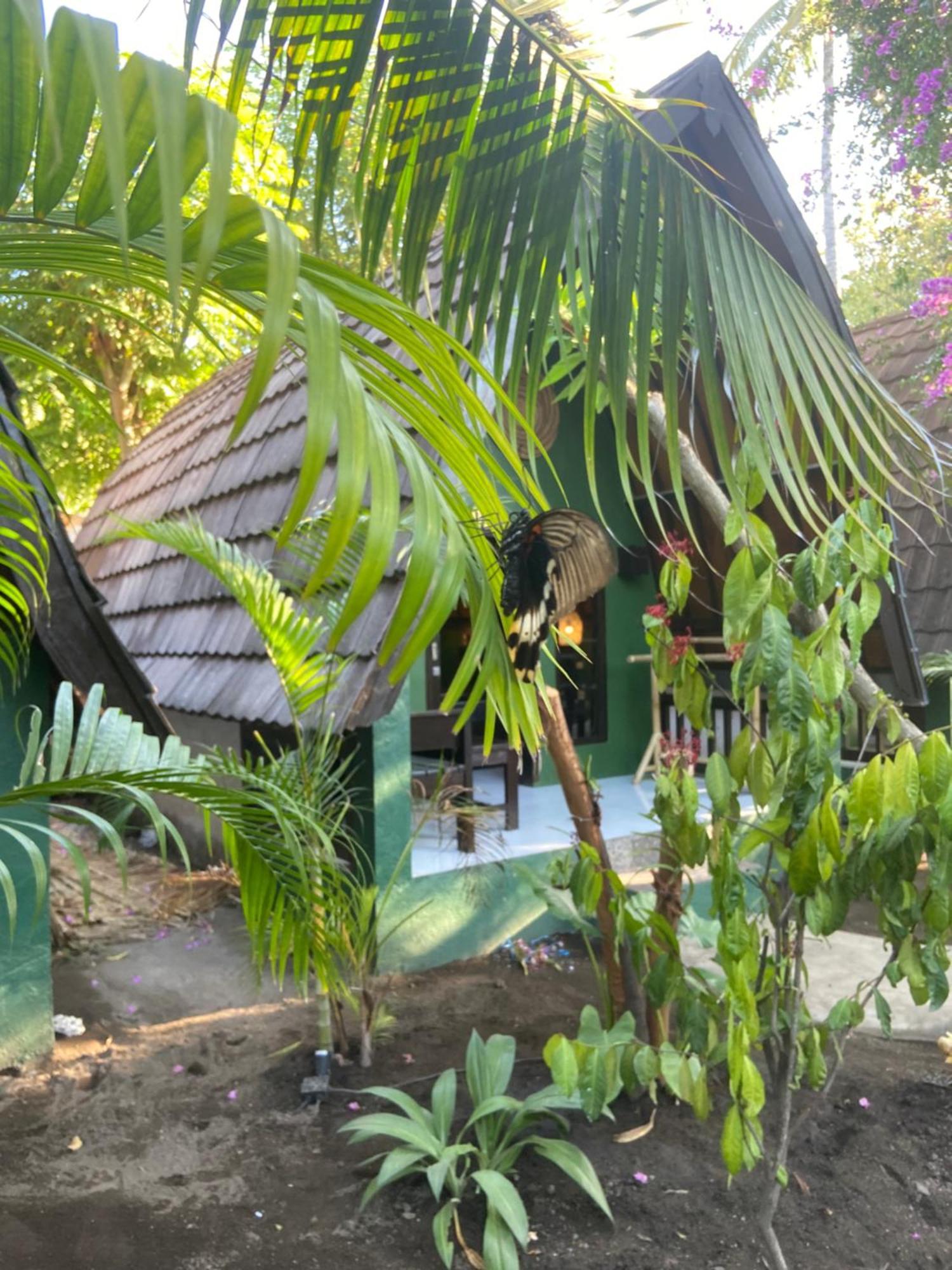 Mowglis Gili Air Hotel Buitenkant foto